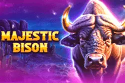 Majestic Bison